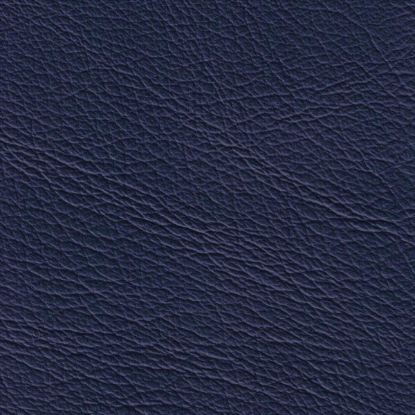 1398 - jazzblue