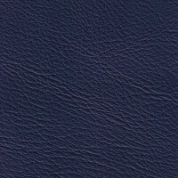 1398 - jazzblue