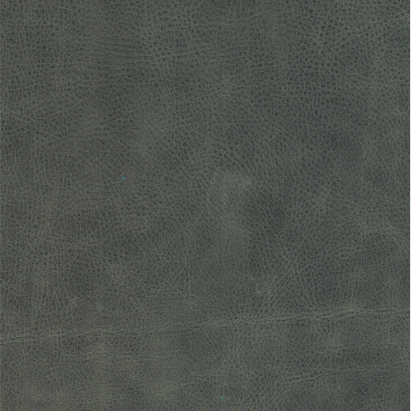 Canyon 1258 greystone