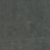 Canyon 1258 greystone