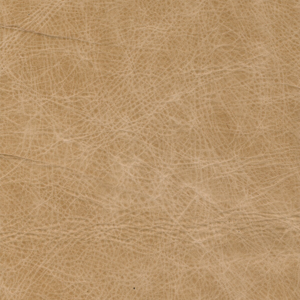 Canyon 3845 sand