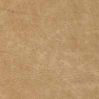 Canyon 3845 sand