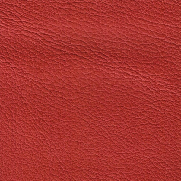 1137 - scarletrot/can can