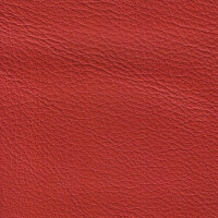 1137 - scarletrot/can can