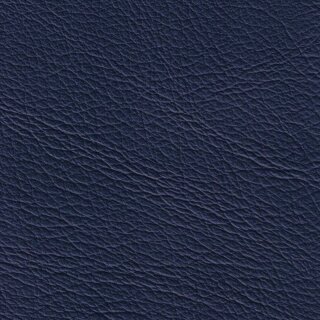 1398 - jazzblue