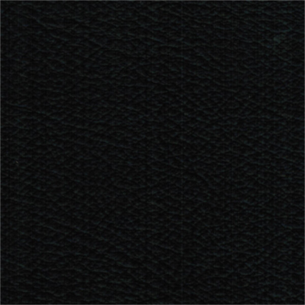 schwarz 500