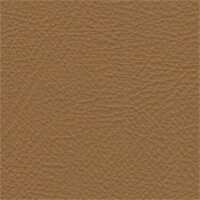 beige 3427