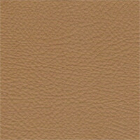 sandbeige 3465